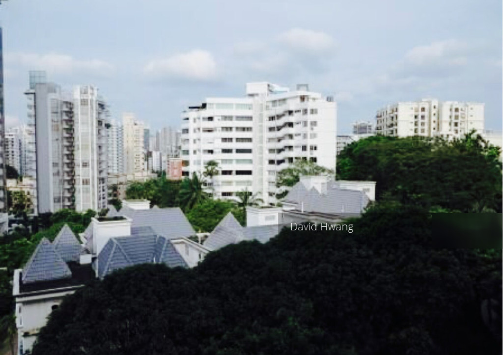 Three Three Robin (D10), Apartment #125384422
